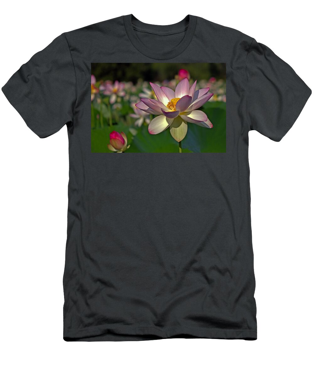Kenilworth T-Shirt featuring the photograph Lotus Flower #1 by Jerry Gammon