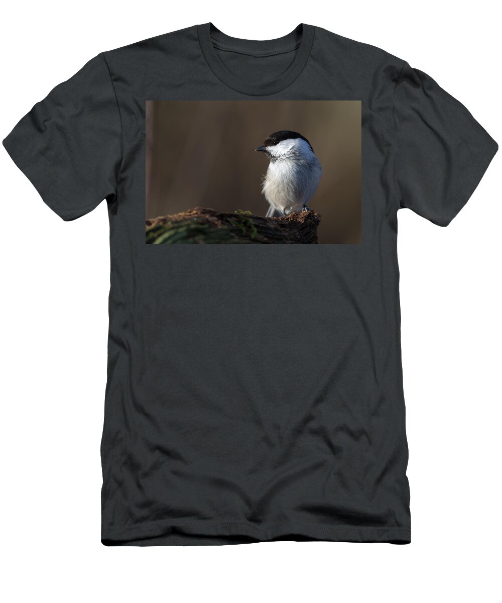 Marsh Tit T-Shirt featuring the photograph Marsh Tit by Torbjorn Swenelius