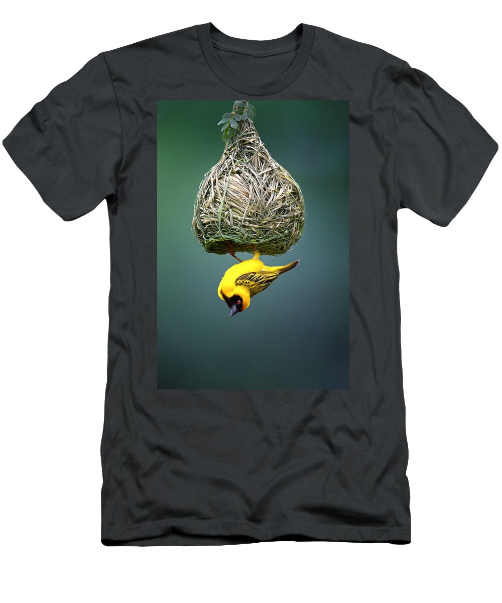 Africa T-Shirt featuring the photograph Masked weaver at nest #3 by Johan Swanepoel