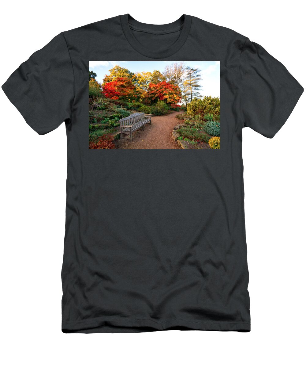 Landscape T-Shirt featuring the photograph Morning light by Shirley Mitchell