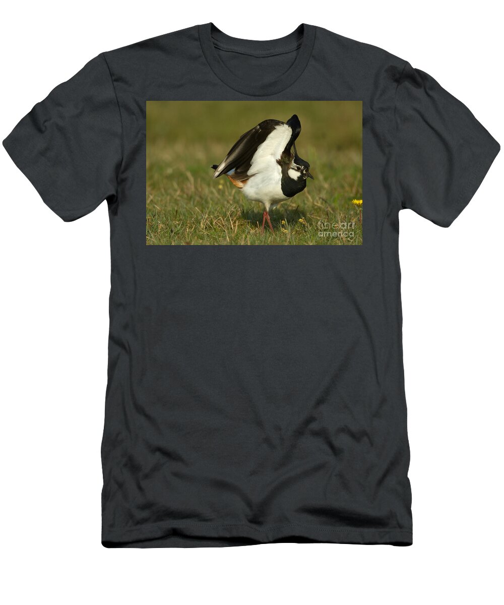 Northern Lapwing T-Shirt featuring the photograph Northern Lapwing #1 by Helmut Pieper