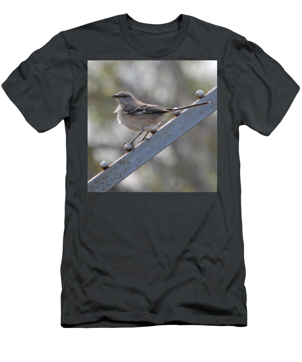 Mockingbird T-Shirt featuring the photograph Northern Mockingbird 2 #1 by Leticia Latocki