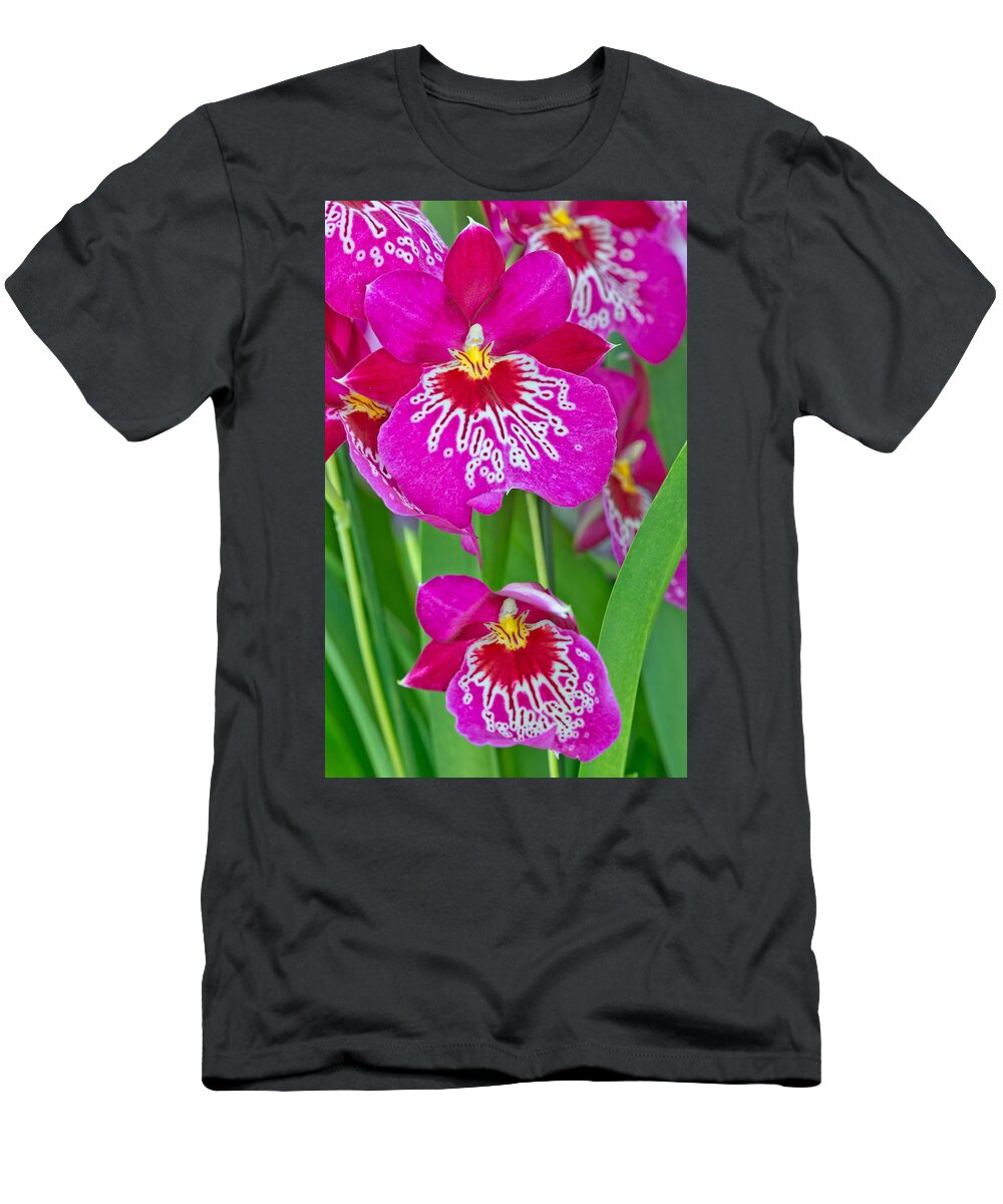 Bloom T-Shirt featuring the photograph Orchid Flowers #1 by Michael Lustbader