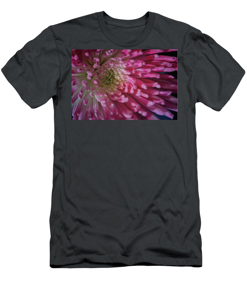Floral T-Shirt featuring the photograph Pink Profusion #1 by Shirley Mitchell