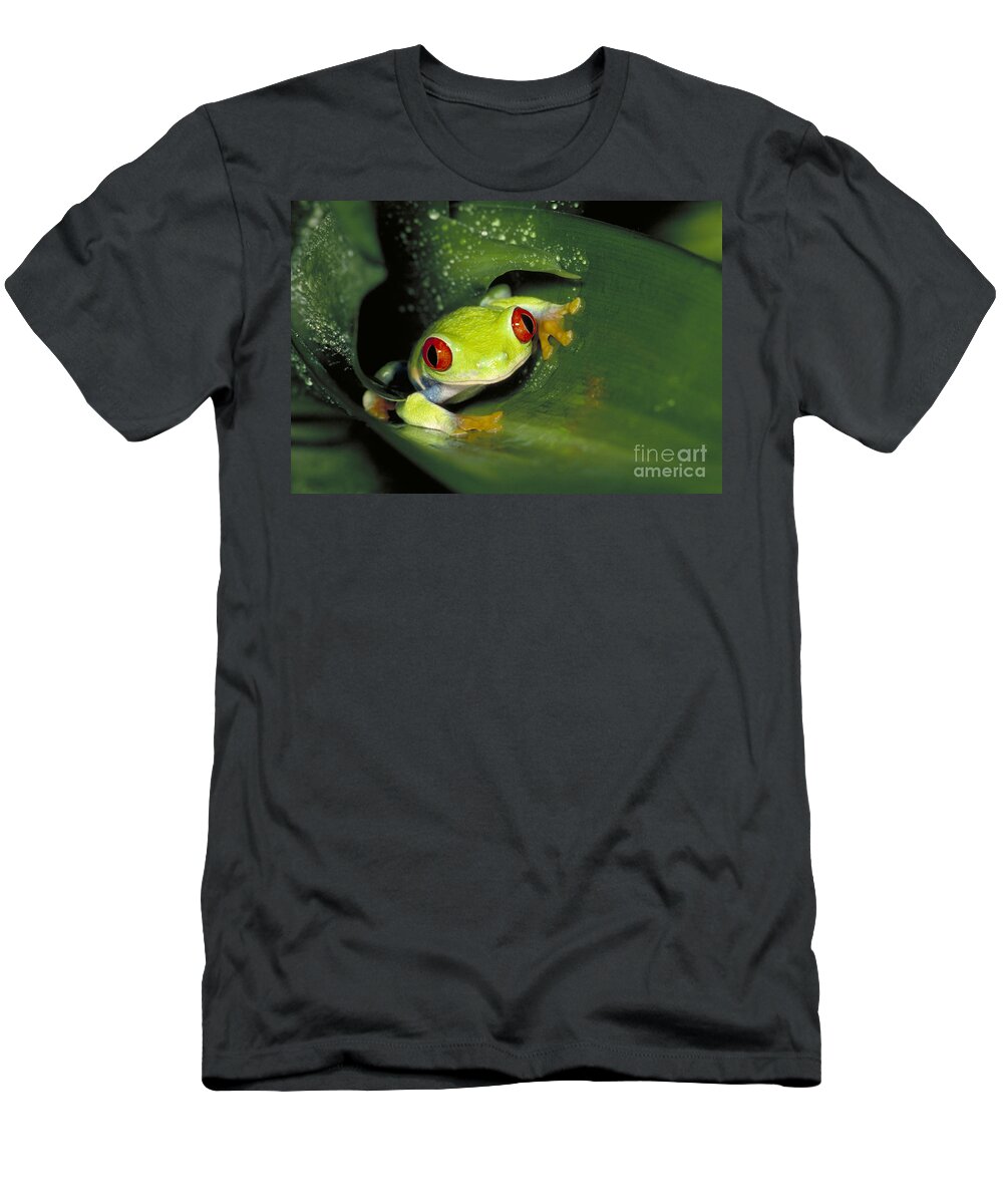 Amphibian T-Shirt featuring the photograph Red Eyed Tree Frog #1 by Gregory G. Dimijian