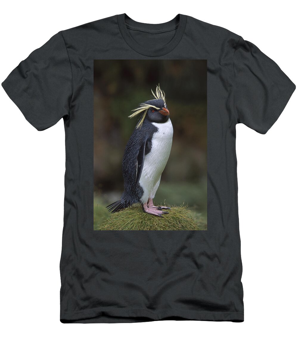 Feb0514 T-Shirt featuring the photograph Rockhopper Penguin Portrait Gough Island #1 by Tui De Roy