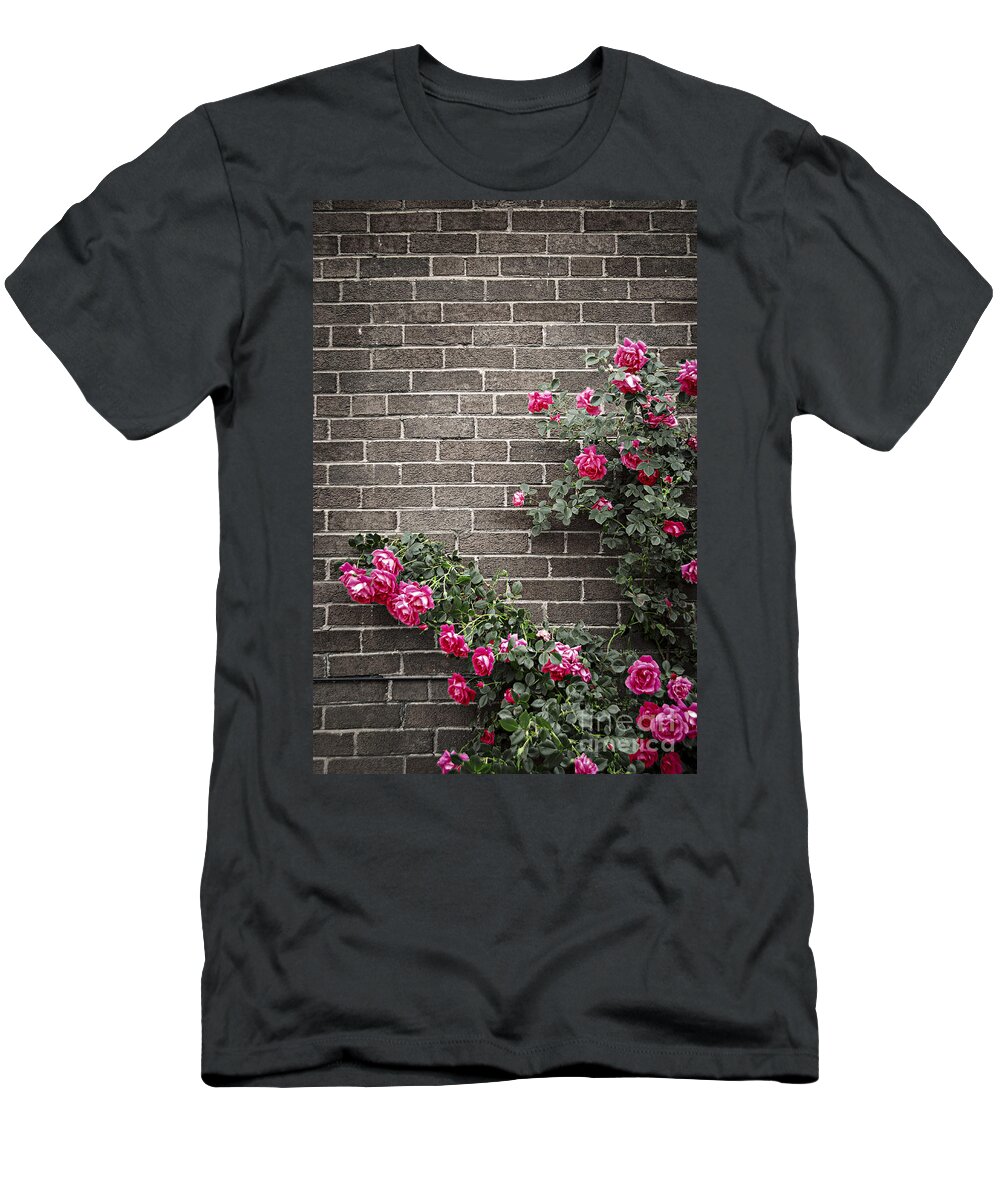 Rose T-Shirt featuring the photograph Roses on brick wall 3 by Elena Elisseeva