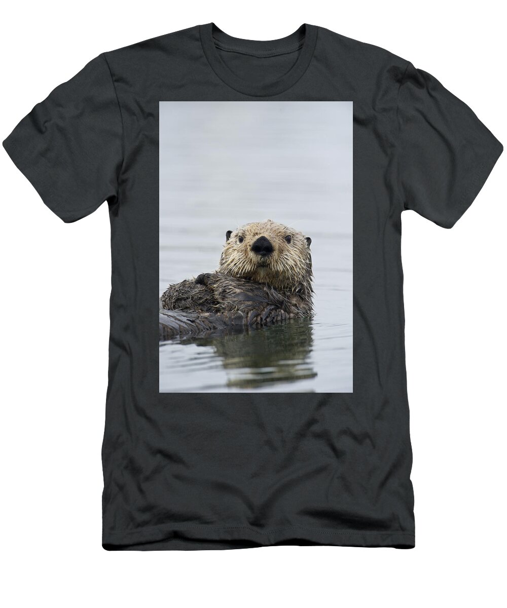 Michael Quinton T-Shirt featuring the photograph Sea Otter Alaska #1 by Michael Quinton