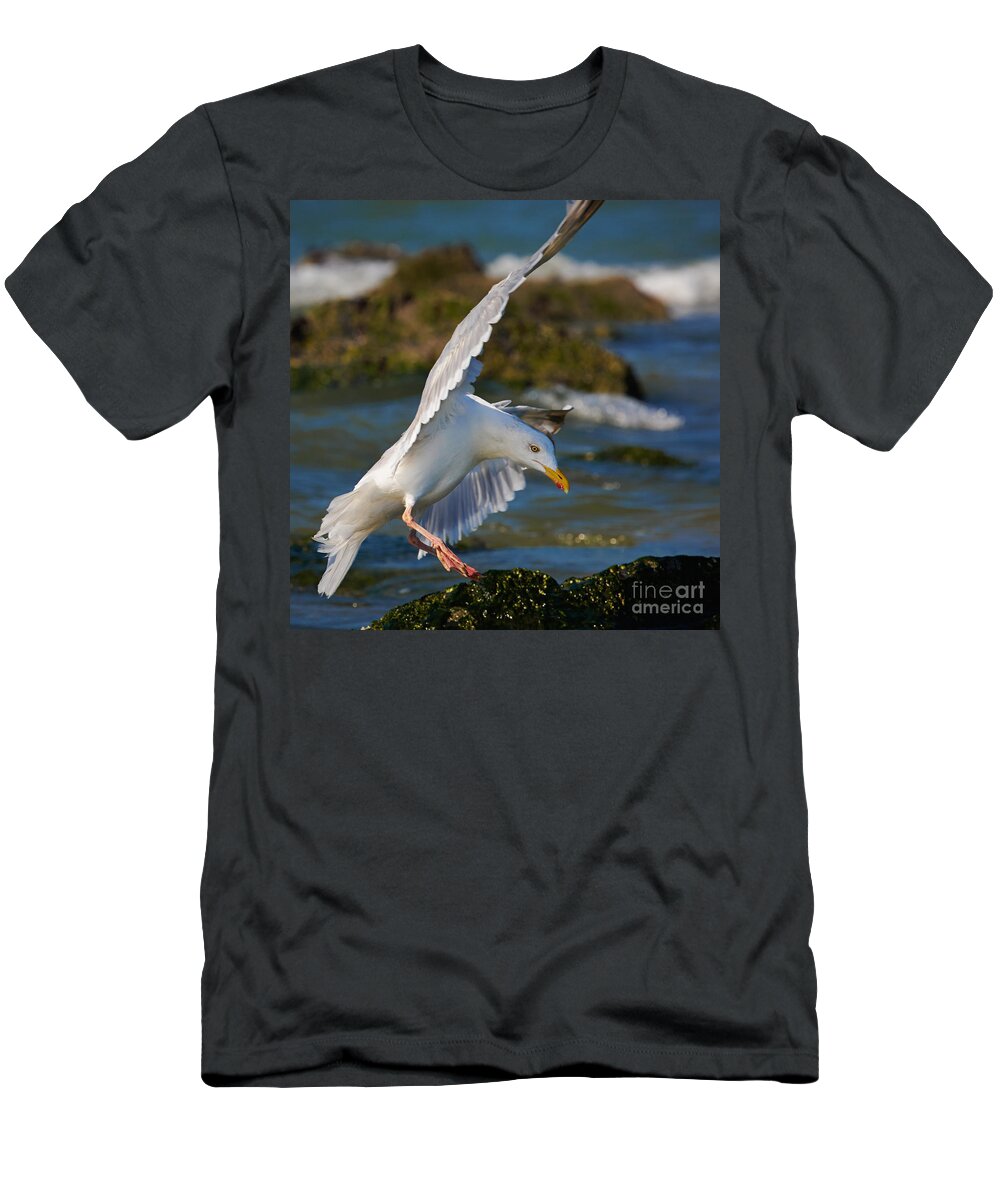 Closeup T-Shirt featuring the photograph Seagull in flight #2 by Nick Biemans
