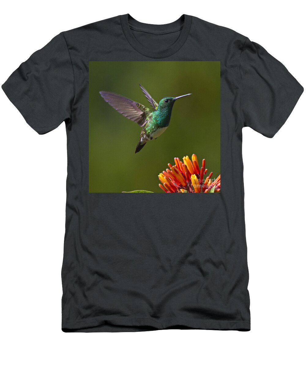 Bird T-Shirt featuring the photograph Snowy-bellied Hummingbird by Heiko Koehrer-Wagner