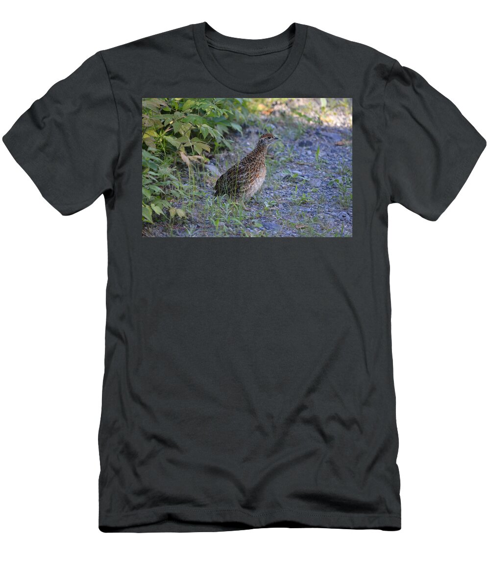 Nature T-Shirt featuring the photograph Spruce Grouse #2 by James Petersen