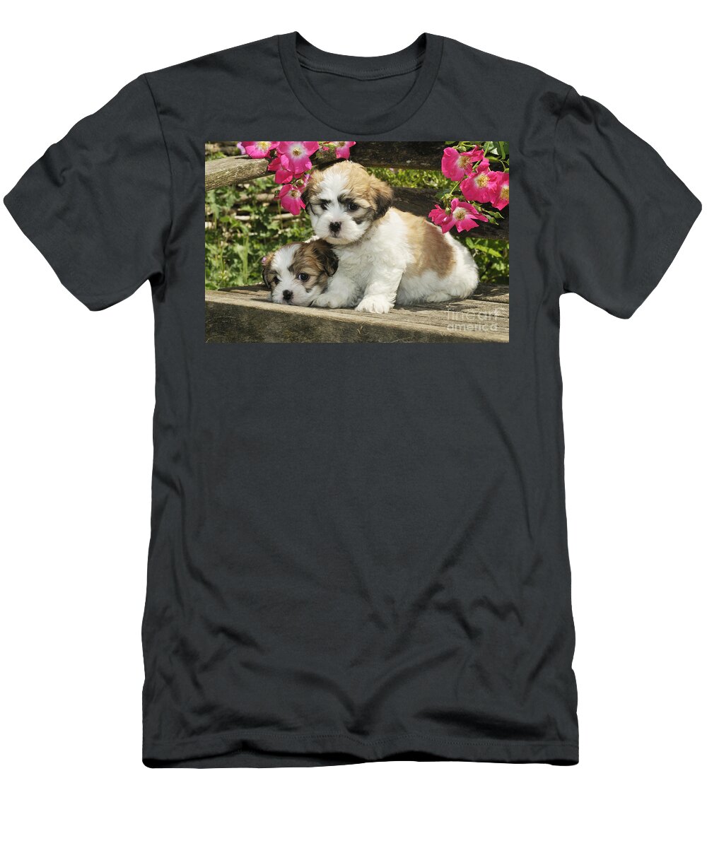 Dog T-Shirt featuring the photograph Teddy Bear Puppy Dogs #3 by John Daniels