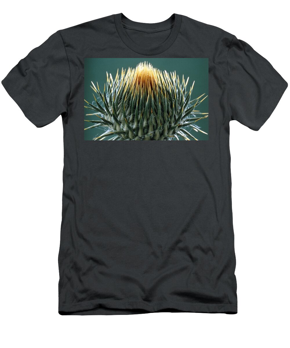 About To Open T-Shirt featuring the photograph Thistle Bud #1 by Perennou Nuridsany