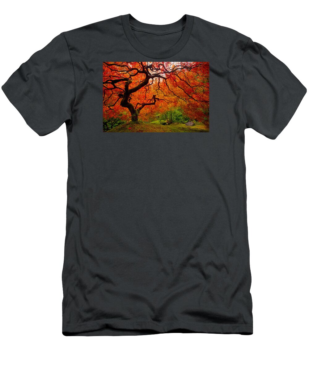Autumn T-Shirt featuring the photograph Tree Fire by Darren White