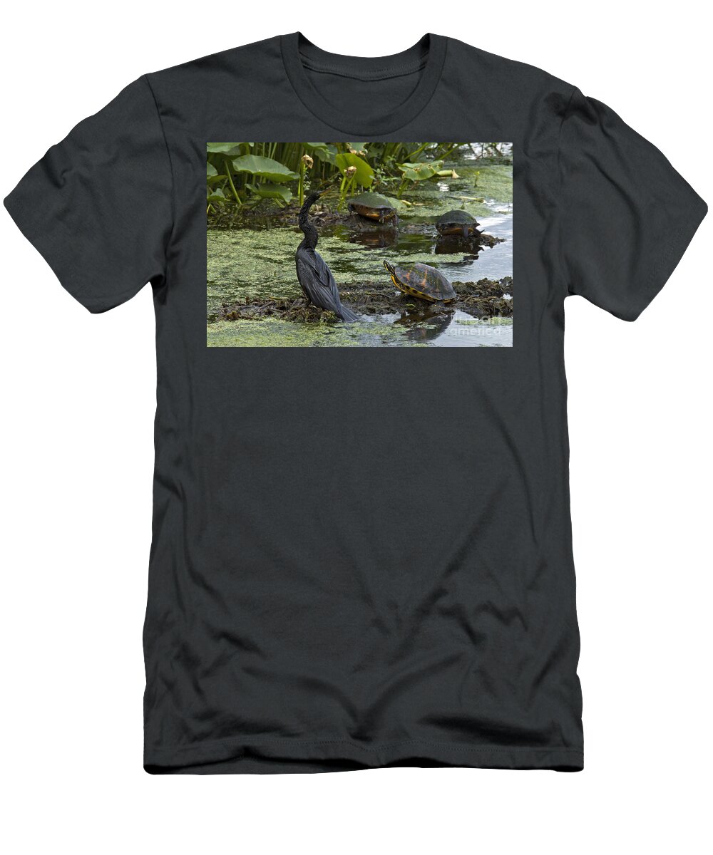 Nature T-Shirt featuring the photograph Turtles And Anhinga #1 by Mark Newman