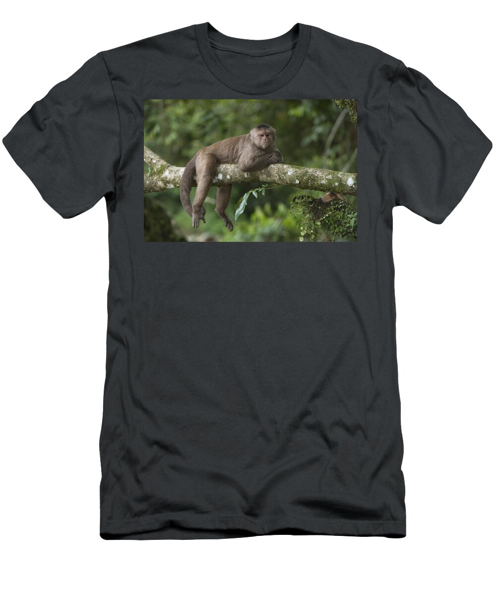 Pete Oxford T-Shirt featuring the photograph White-fronted Capuchin Puerto by Pete Oxford