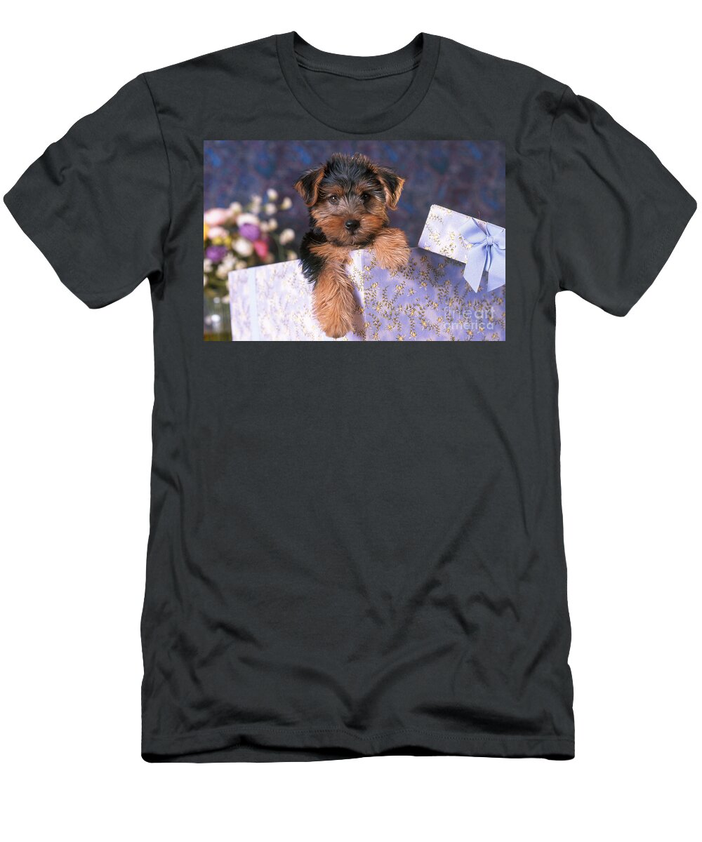 Animal T-Shirt featuring the photograph Yorkshire Terrier Puppy #2 by Alan and Sandy Carey