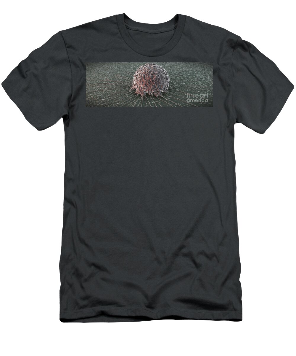 Cells T-Shirt featuring the photograph Breast Cancer Cell #13 by Science Picture Co