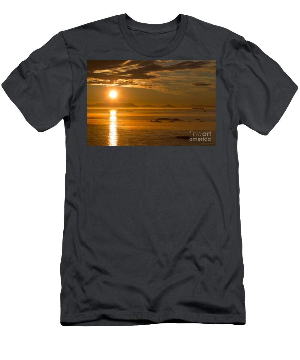 Iceberg T-Shirt featuring the photograph 110307p087 by Arterra Picture Library