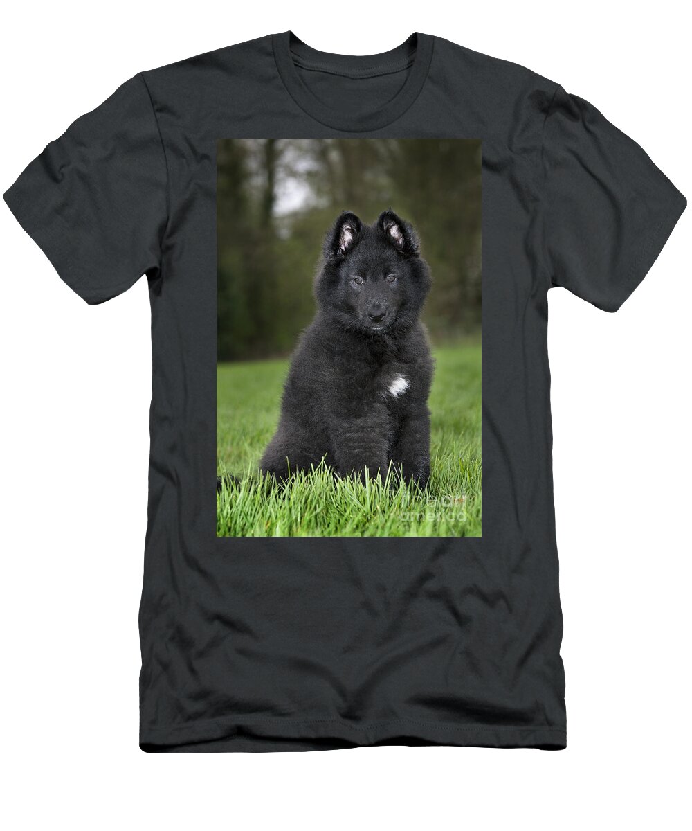 Mammal T-Shirt featuring the photograph 110506p179 by Arterra Picture Library