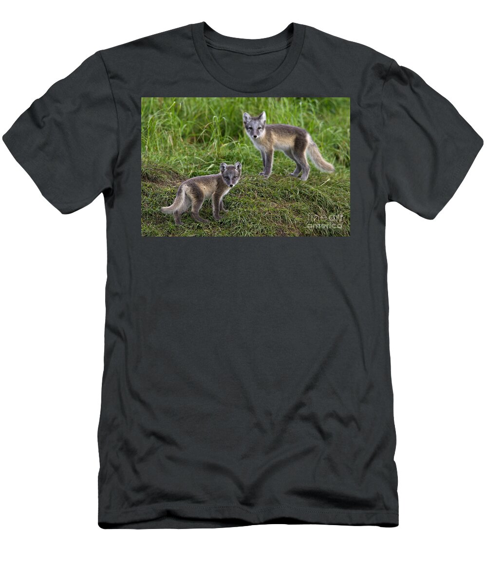 Arctic Fox T-Shirt featuring the photograph 120223p084 by Arterra Picture Library