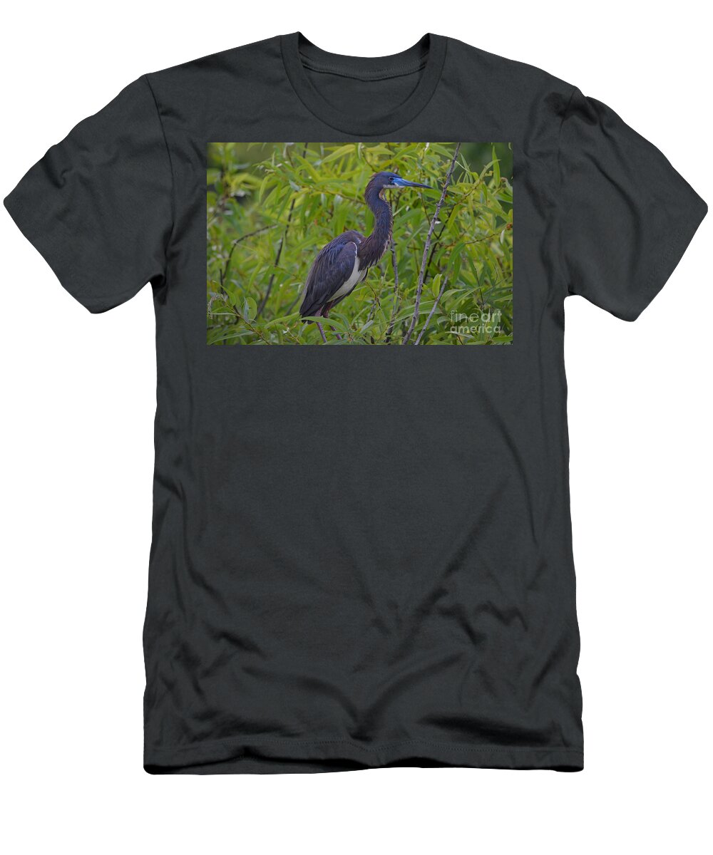 Tri-colored Heron T-Shirt featuring the photograph 13- Tri-Colored Heron by Joseph Keane