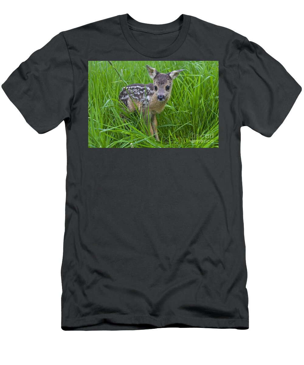 Roe Deer T-Shirt featuring the photograph 131018p162 by Arterra Picture Library