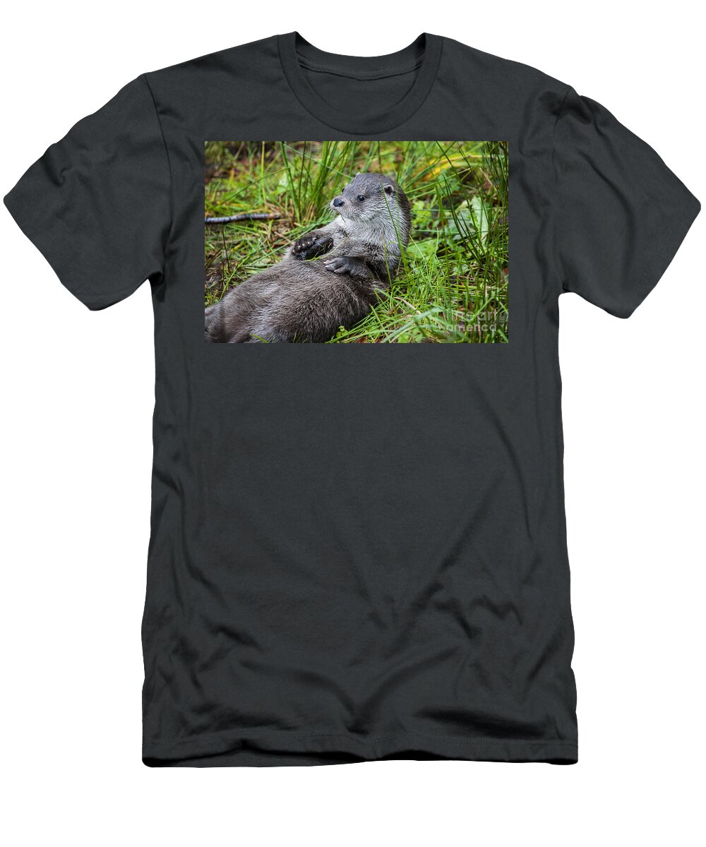 European River Otter T-Shirt featuring the photograph 140314p373 by Arterra Picture Library