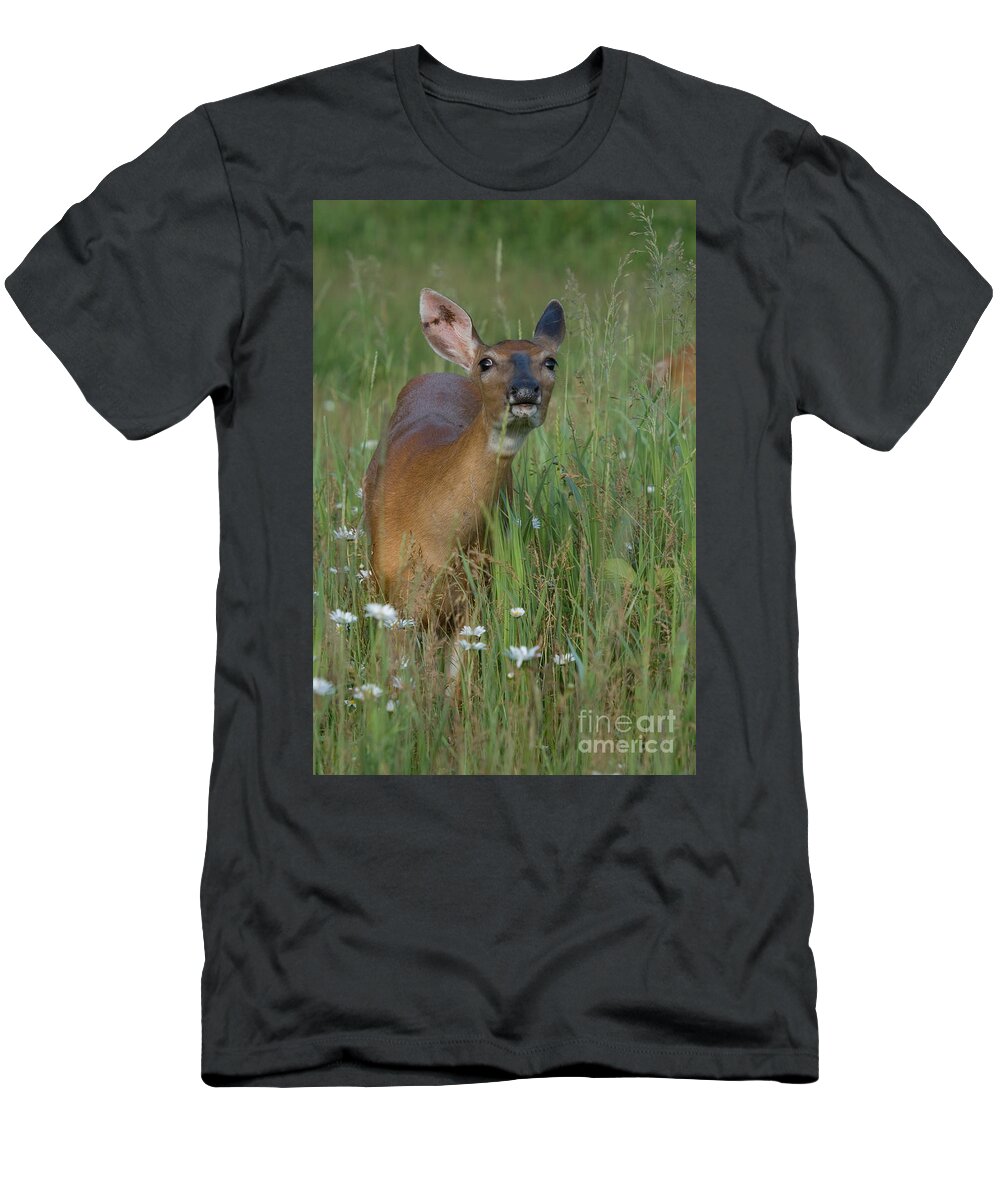 Minnesota T-Shirt featuring the photograph White-tailed Doe #15 by Linda Freshwaters Arndt