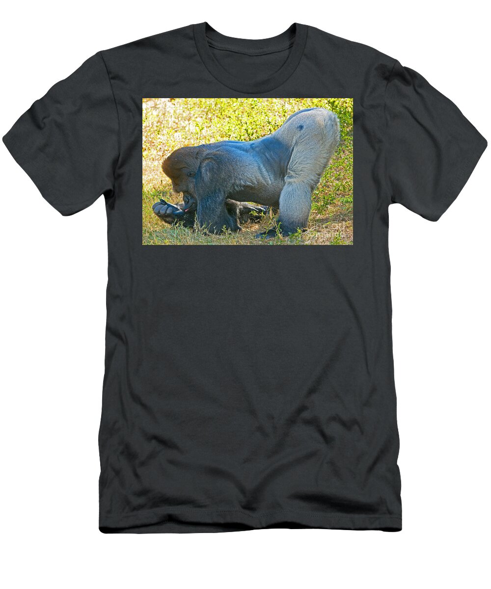 Nature T-Shirt featuring the photograph Western Lowland Gorilla #16 by Millard H. Sharp