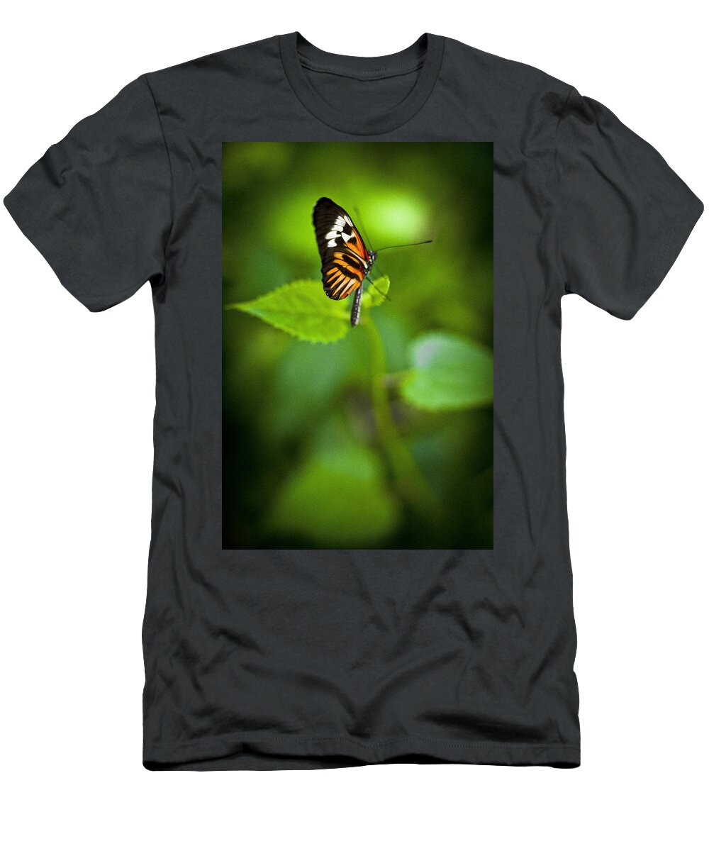 Butterfly T-Shirt featuring the photograph Butterfly #17 by Bradley R Youngberg