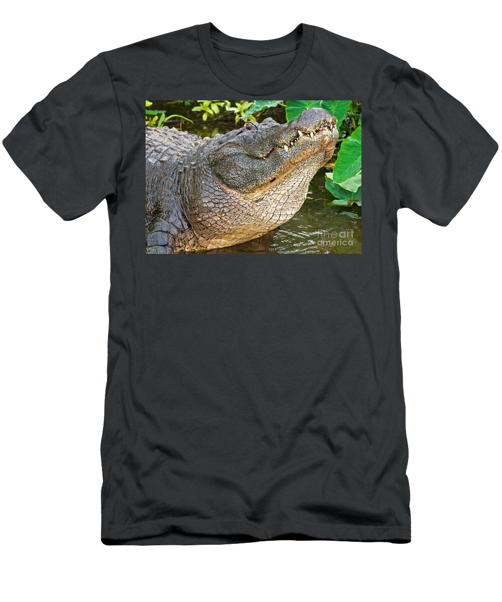 Alligator T-Shirt featuring the photograph American Alligator #2 by Millard H. Sharp