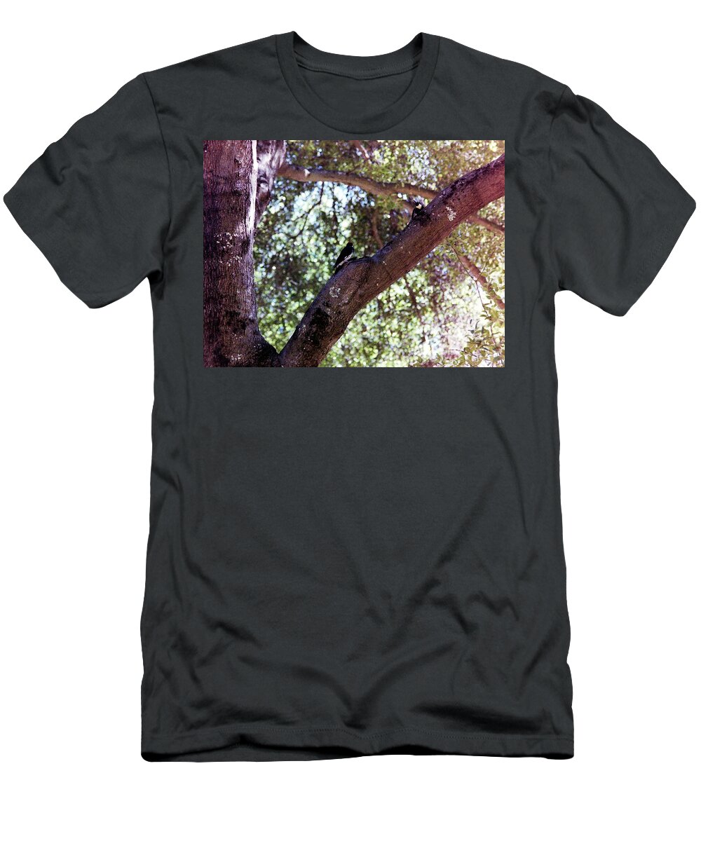 Birds T-Shirt featuring the photograph Bird in tree #2 by Karl Rose