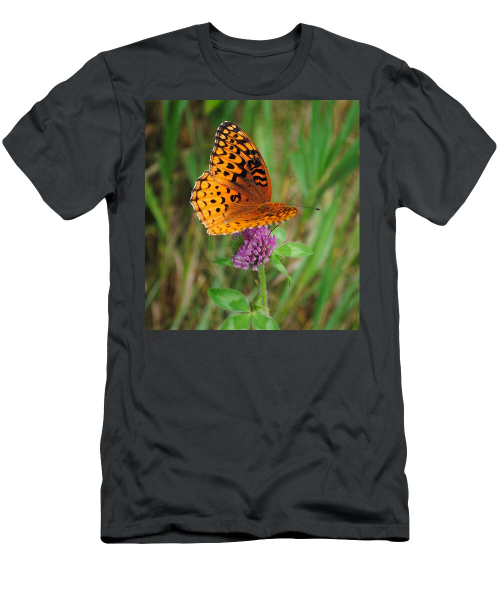Butterfly T-Shirt featuring the photograph Butterfly #4 by David Hart
