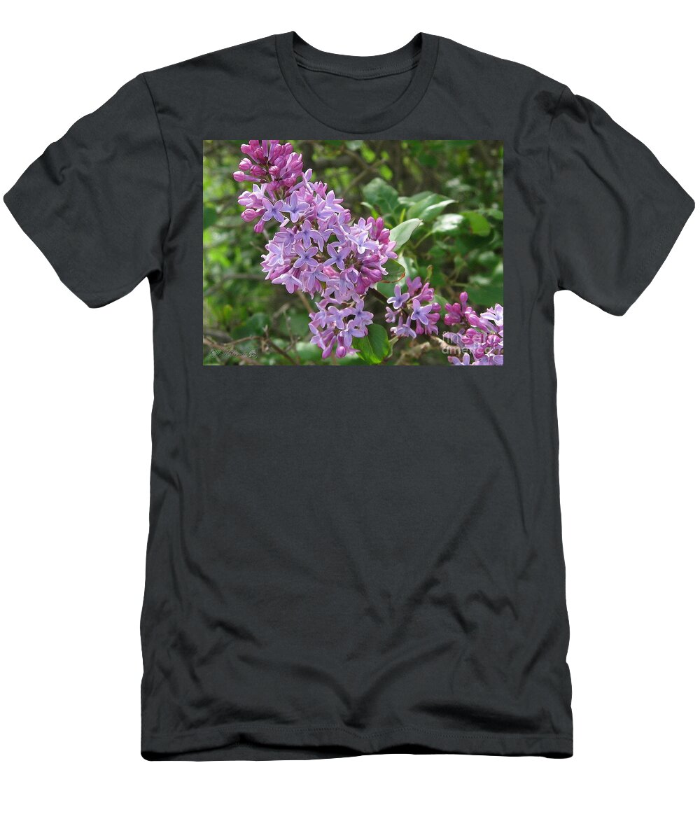 Common Purple Lilac T-Shirt featuring the painting Common Purple Lilac #1 by J McCombie
