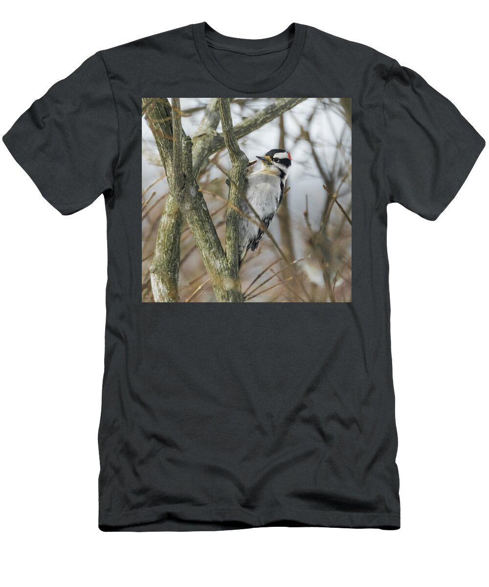 Woodpecker T-Shirt featuring the photograph Downy Woodpecker by Holden The Moment