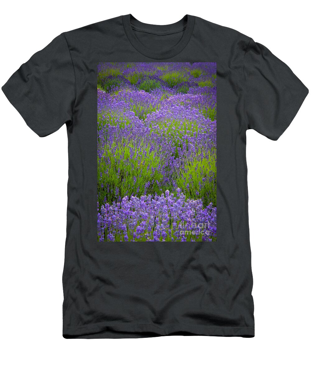 America T-Shirt featuring the photograph Lavender Study #2 by Inge Johnsson