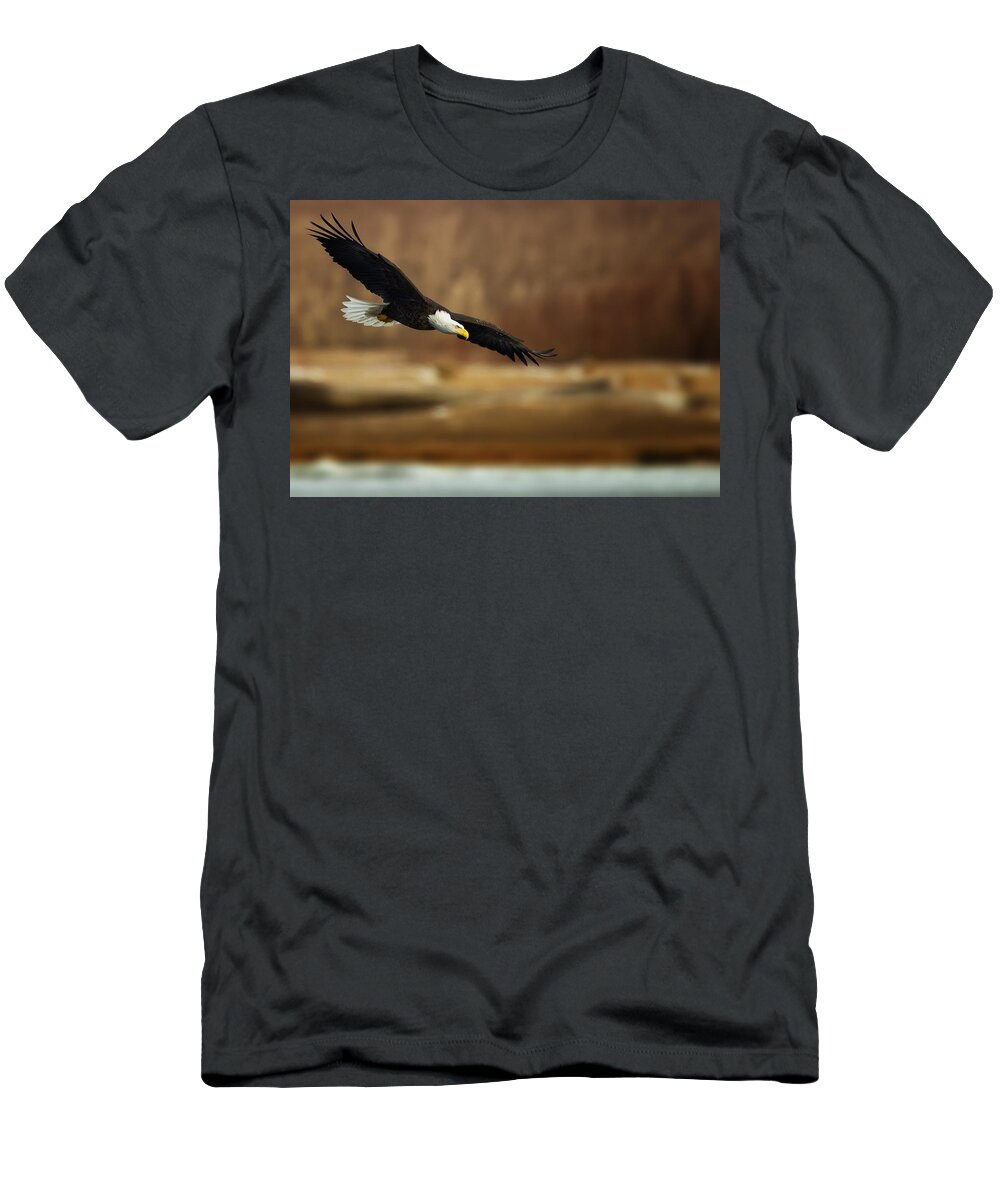 Bald T-Shirt featuring the photograph Soaring Bald Eagle #1 by Al Mueller