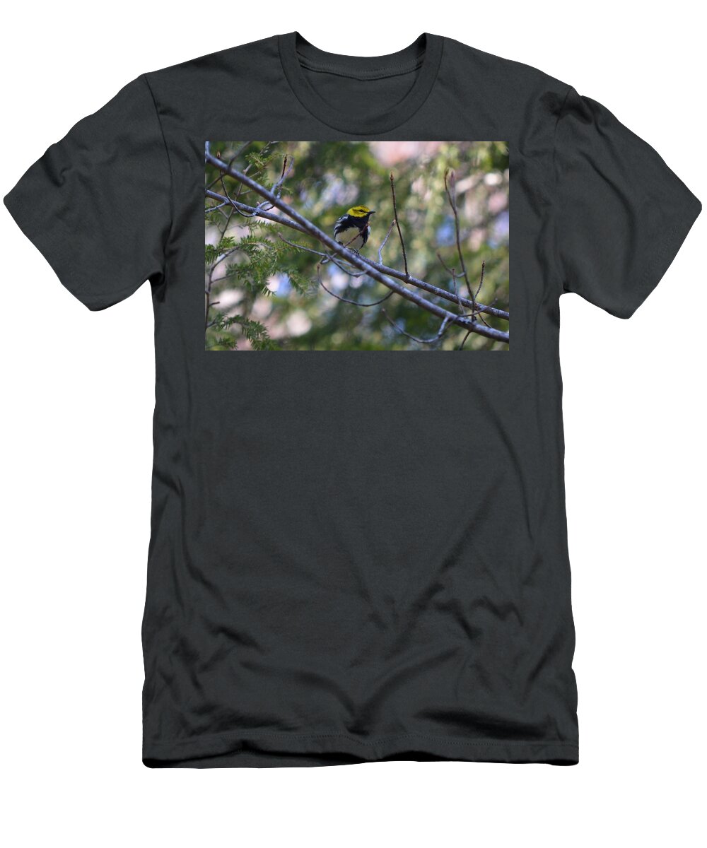Black-throated Green Warbler T-Shirt featuring the photograph Spring Black-throated green Warbler #2 by James Petersen