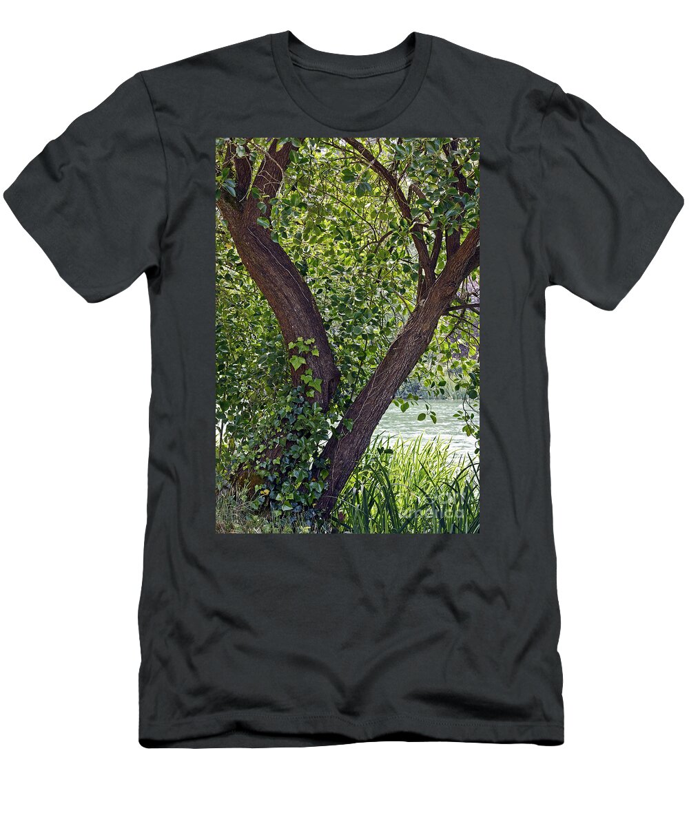 Kate Brown T-Shirt featuring the photograph Tree at Stow Lake by Kate Brown