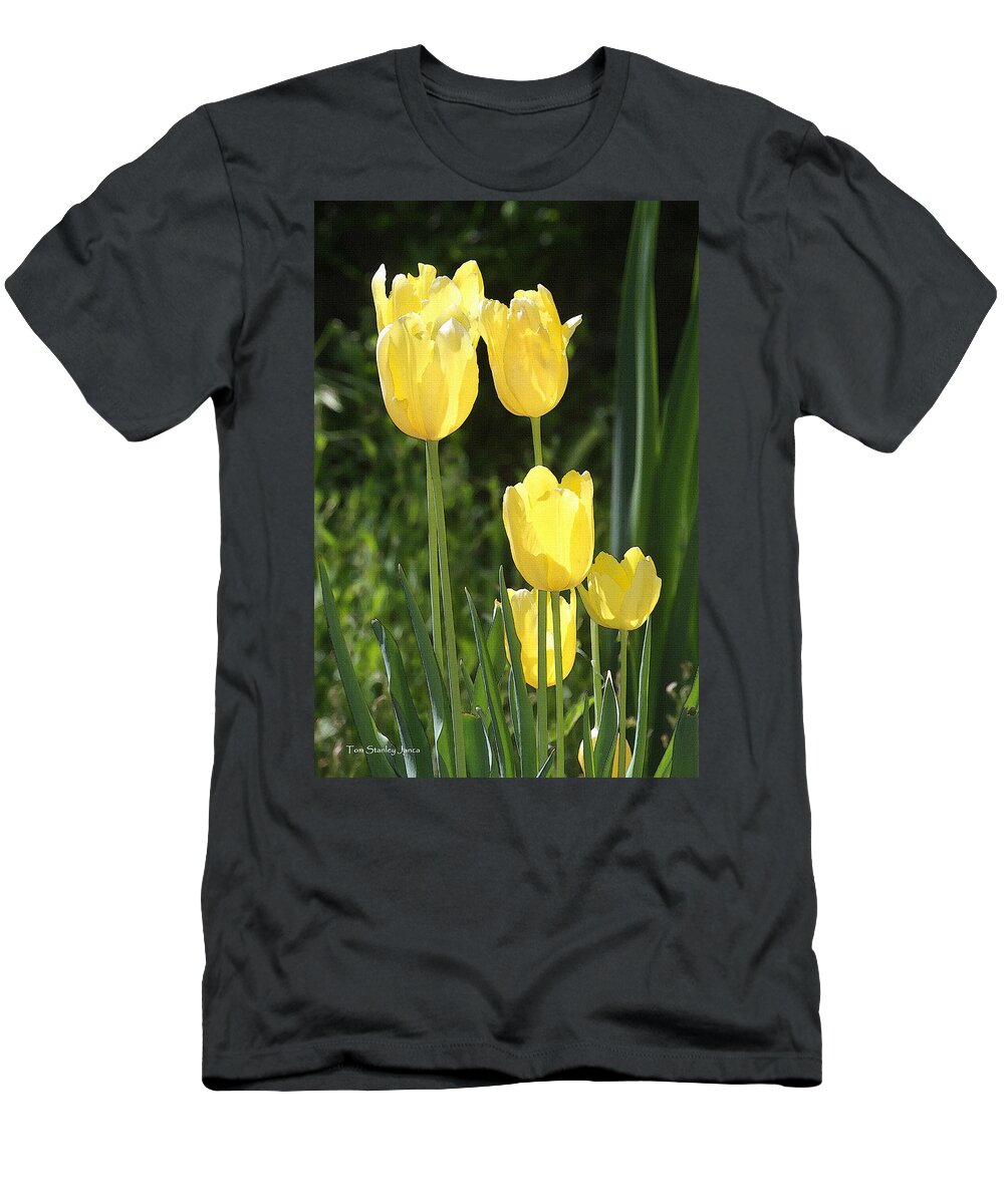 Yellow Tulips At The Arboretum T-Shirt featuring the photograph Yellow Tulips At The Arboretum #2 by Tom Janca