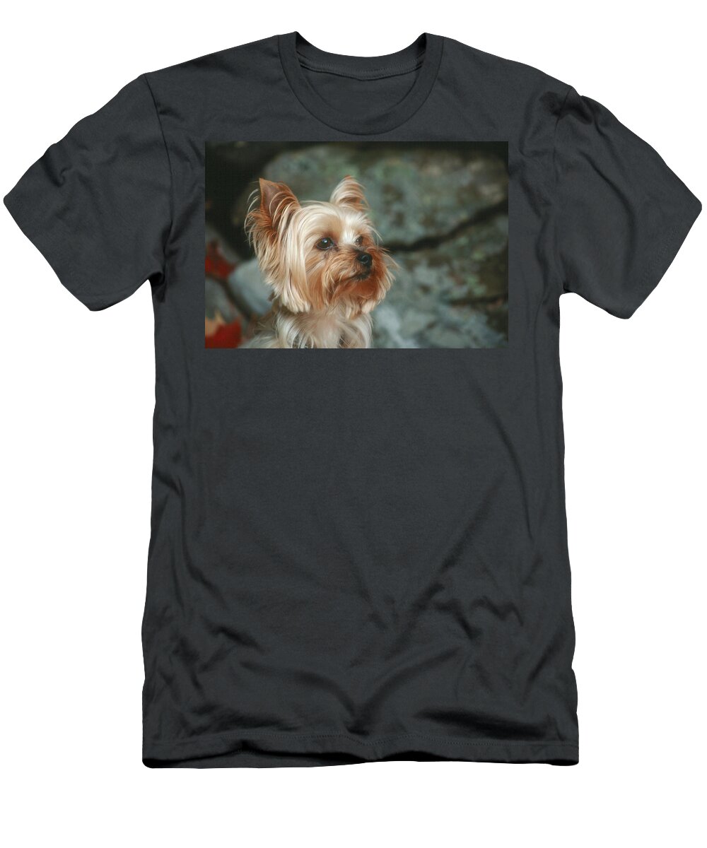 Animal T-Shirt featuring the photograph Yorkshire Terrier #2 by Bonnie Sue Rauch