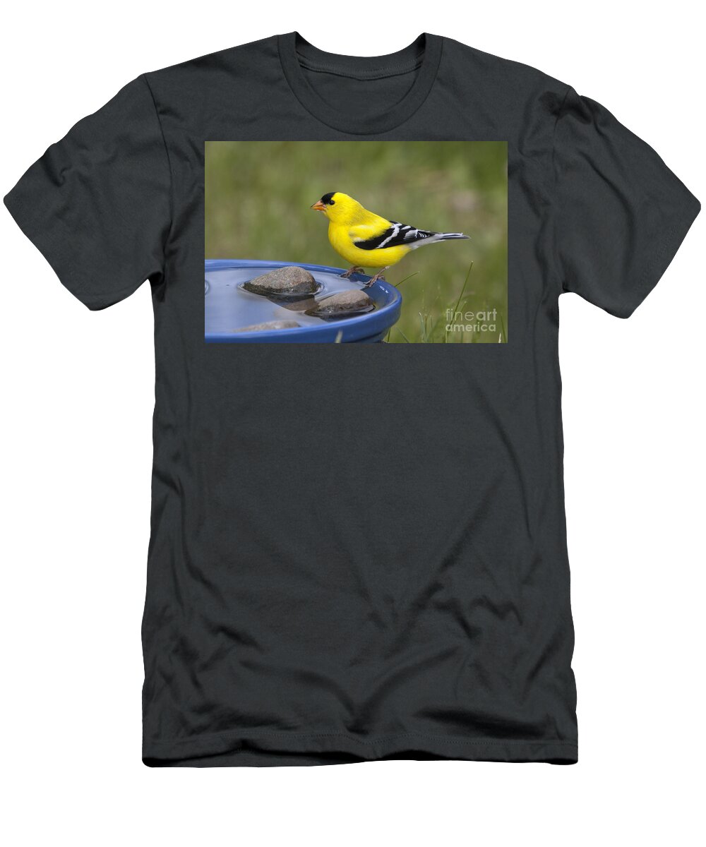 American Goldfinch T-Shirt featuring the photograph American Goldfinch #20 by Linda Freshwaters Arndt