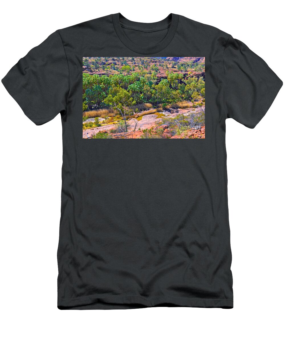 Palm Valley Central Australia Outback Landscape Australian Trees T-Shirt featuring the photograph Palm Valley Central Australia #20 by Bill Robinson