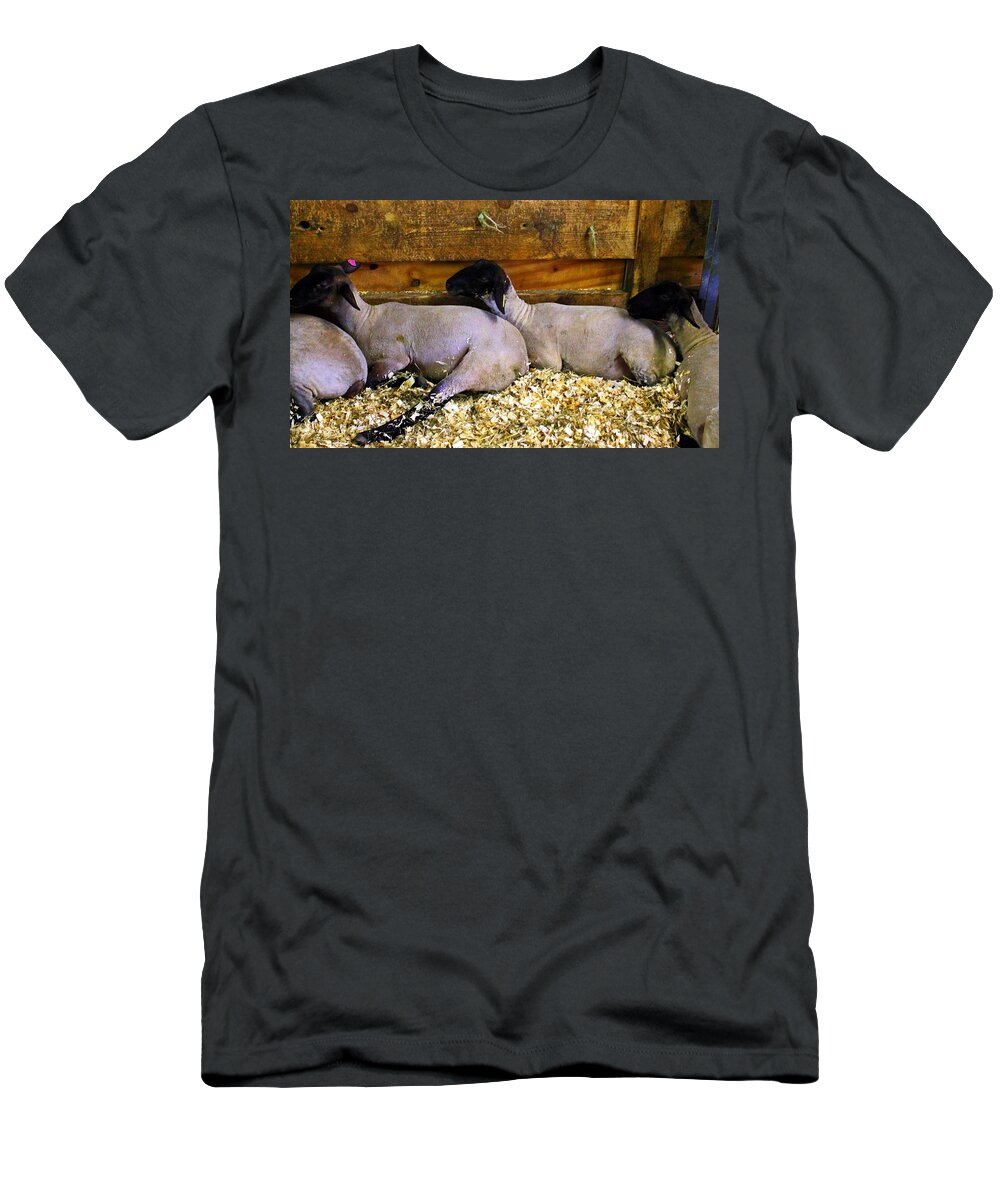 Animals T-Shirt featuring the photograph 3 Animals by Karl Rose