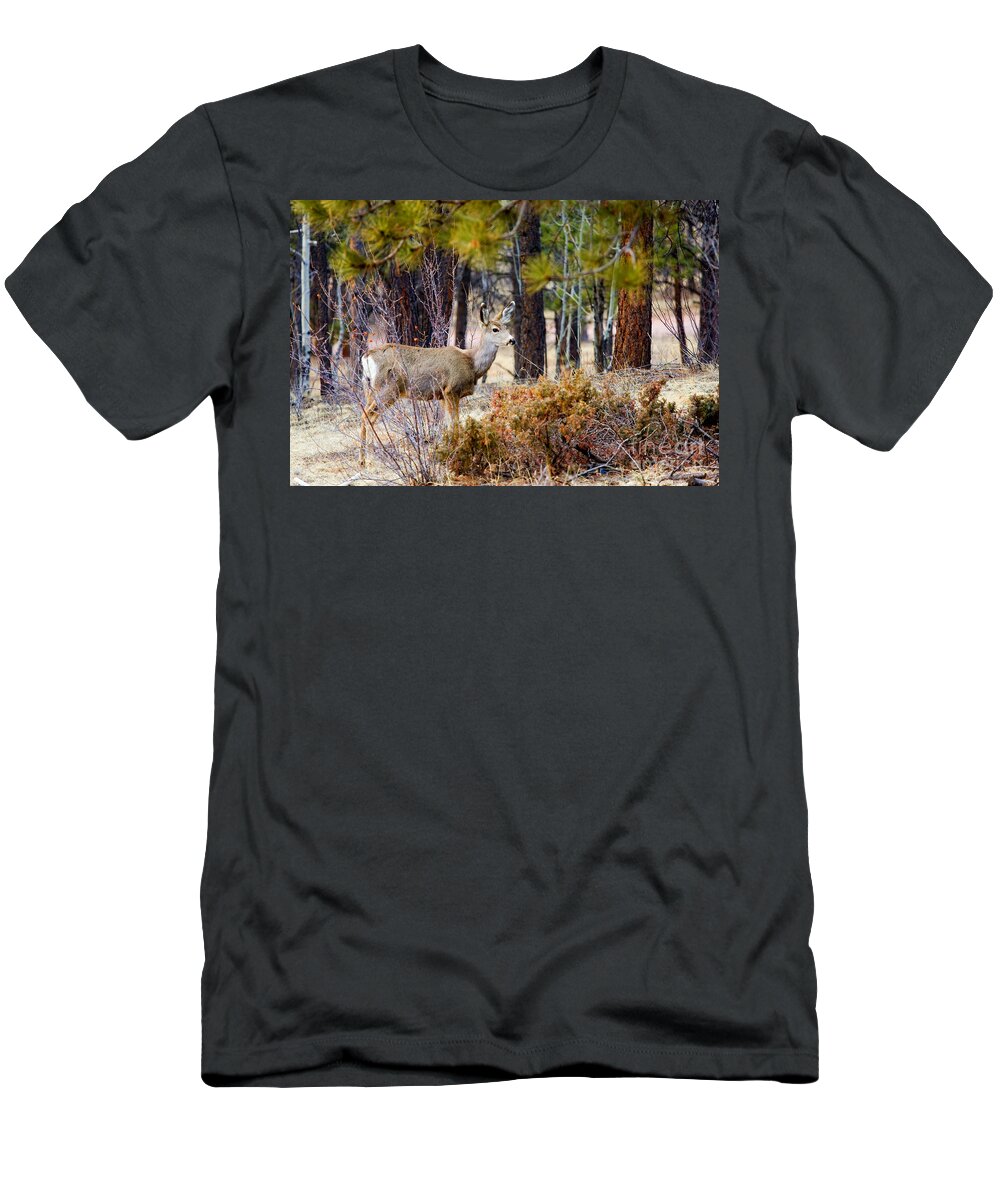 Deer T-Shirt featuring the photograph Mule Deer #3 by Steven Krull