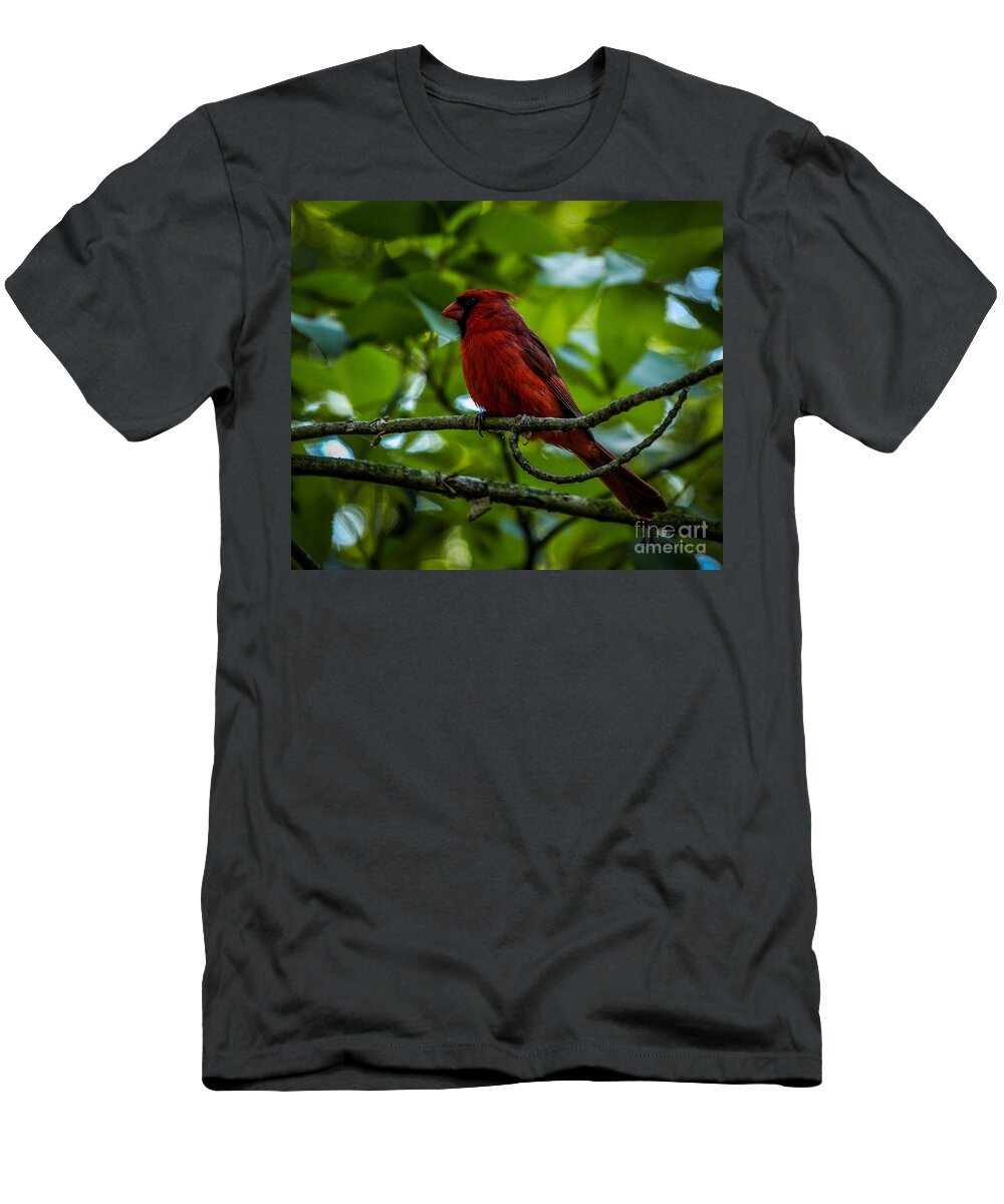 Bird T-Shirt featuring the photograph Northern Cardinal #3 by Ronald Grogan