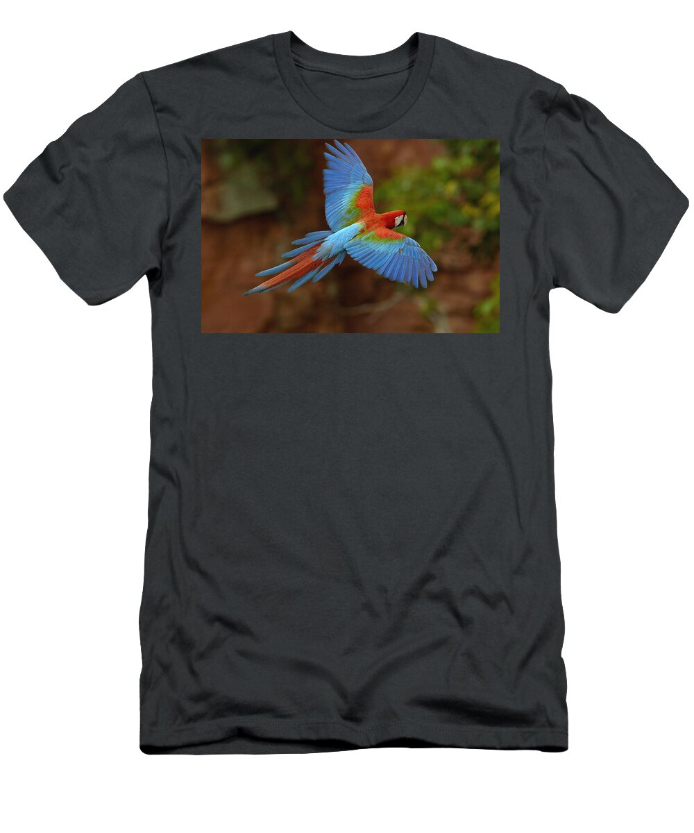 Feb0514 T-Shirt featuring the photograph Red And Green Macaw Flying Brazil #3 by Pete Oxford
