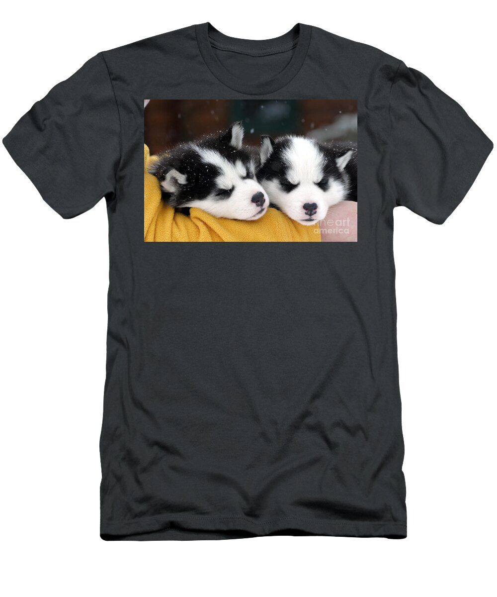Dogs T-Shirt featuring the photograph Siberian Husky Puppies #3 by Rolf Kopfle