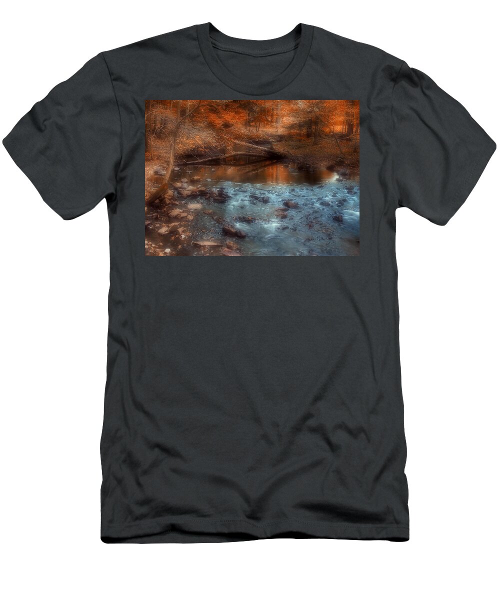 Autumn T-Shirt featuring the photograph Through the Woods #3 by Joann Vitali